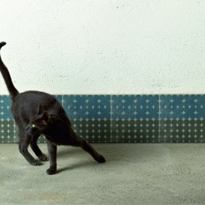 פרט הדוגמה Azulej Diagonal של Mutina