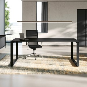 יחידת 30° של יחידות השירות Loft