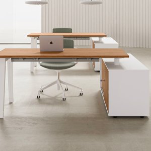 עמדת עבודה E-Place של DVO Office על חצובת פלדה לבנה