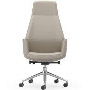 Musa Chair בחדר ישיבות